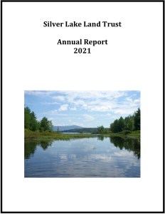 Link to 2021 Annual Report PDF file