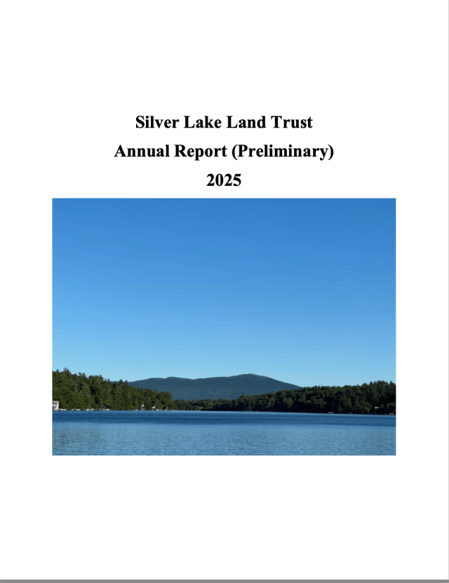 This is a copy of the cover of the 2025 Annual Report. Click this region to open a new tab for a PDF copy of the report.